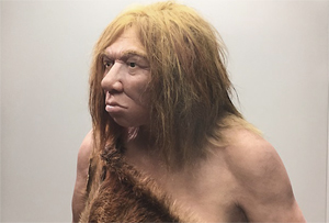 Las manos (y no la mente) del neandertal limitaban sus trabajos artesanales Las manos (y no la mente) del neandertal limitaban sus trabajos artesanales