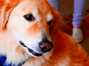 Noti5
