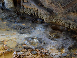 Noti5
