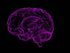 La estructura de esta barrera hematoencefálica no es demasiado conocida, por lo que necesitamos un atlas detallado tanto de la vasculatura cerebral como de la funcionalidad de su barrera. / sbtlneet (PIXABAY)