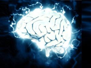 brain-gfb00cd7fb