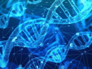 Cambios genéticos podrían predecir el riesgo de Leucemia Mieloide Aguda años antes del diagnóstico