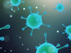 Una estrategia para combatir bacterias resistentes