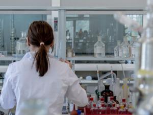 Científicos españoles cuentan el secreto de su éxito en el campo de la investigación. / jarmoluk (PIXABAY)