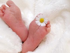 feet-gf9f420c31_1