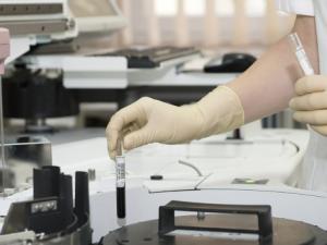 Laboratorio