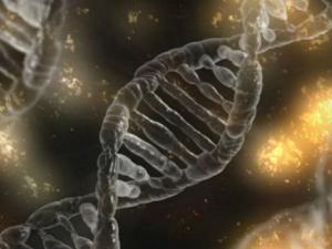 "El cáncer como tal no se hereda, pero sí la predisposición a padecerlo". / typographyimages (PIXABAY)