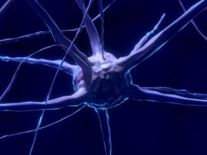 Conexión neuronal