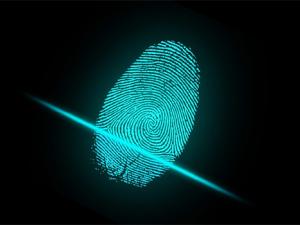 El nuevo método y su aplicación posibilitan no solo la identificación de un individuo en multitud de artículos, sino también la generación de claves asociadas a su persona para realizar transacciones electrónicas seguras. / ar130405 (PIXABAY)