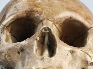 skull-gb0072c7ee_12