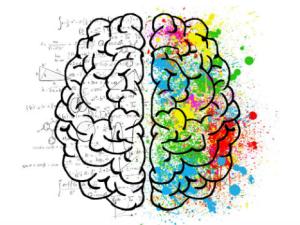 Descubren las bases celulares de la inteligencia humana. / ElisaRiva (PIXABAY)