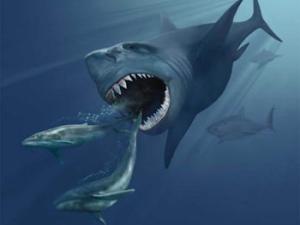 Megalodon persiguiendo dos ballenas Eobalaenoptera. / Karen Carr (WIKIMEDIA, CC BY 3.0)
