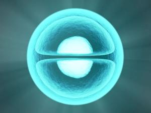 El estrés celular también es detonante de otra enfermedad rara muscular