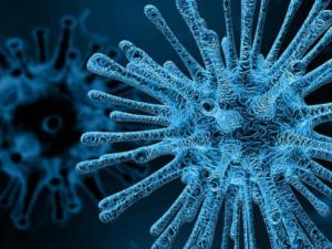 Virus