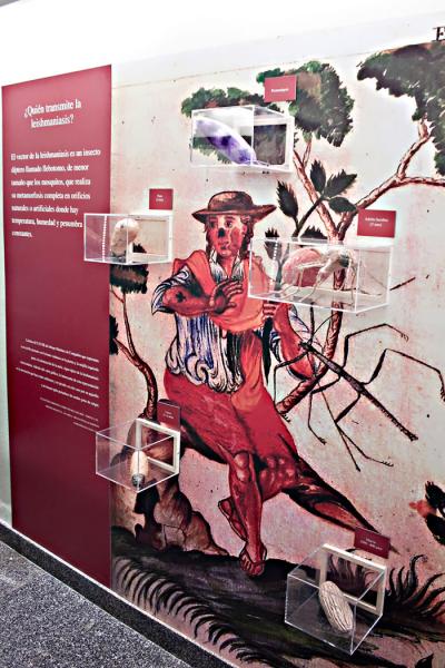 Exposición. Leishmania, no solo en tu mascota