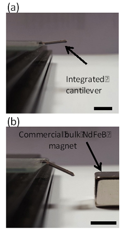 Figura 5. Aplicación de partículas de imán permanente en la fabricación de un sensor microelectromecánico (MEM), desarrollada entre el Instituto Nacional Tyndall (Irlanda) e IMDEA Nanociencia. Las imágenes muestran la respuesta del sensor en presencia del campo magnético generado por un imán NdFeB (escala: 7 mm) Preparando en Europa la próxima generación de imanes permanentes: sentido común, sostenibilidad, innovación y cooperación, ingredientes fundamentales